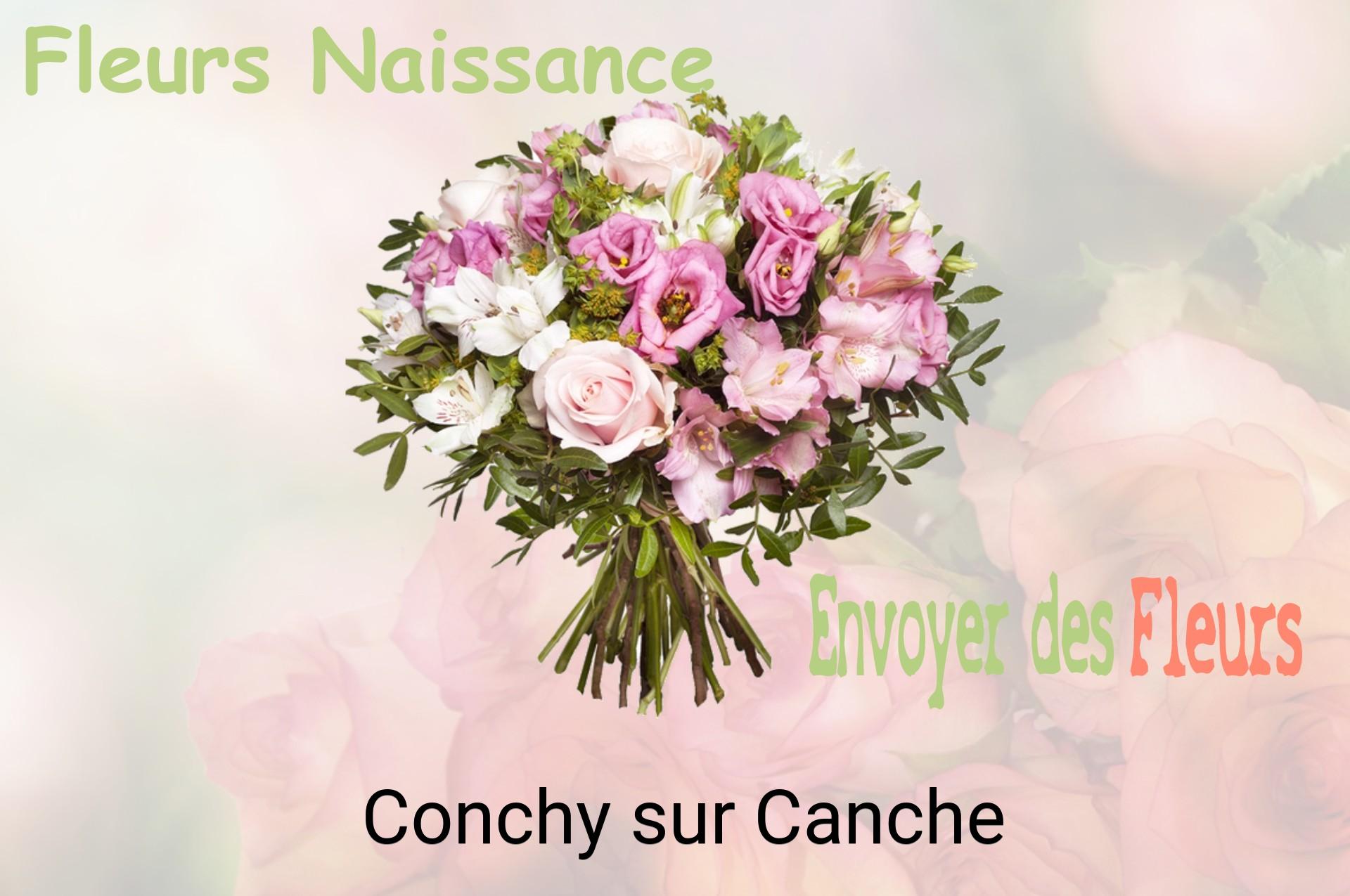 Bouquet de fleurs de naissance livré à Conchy-sur-Canche